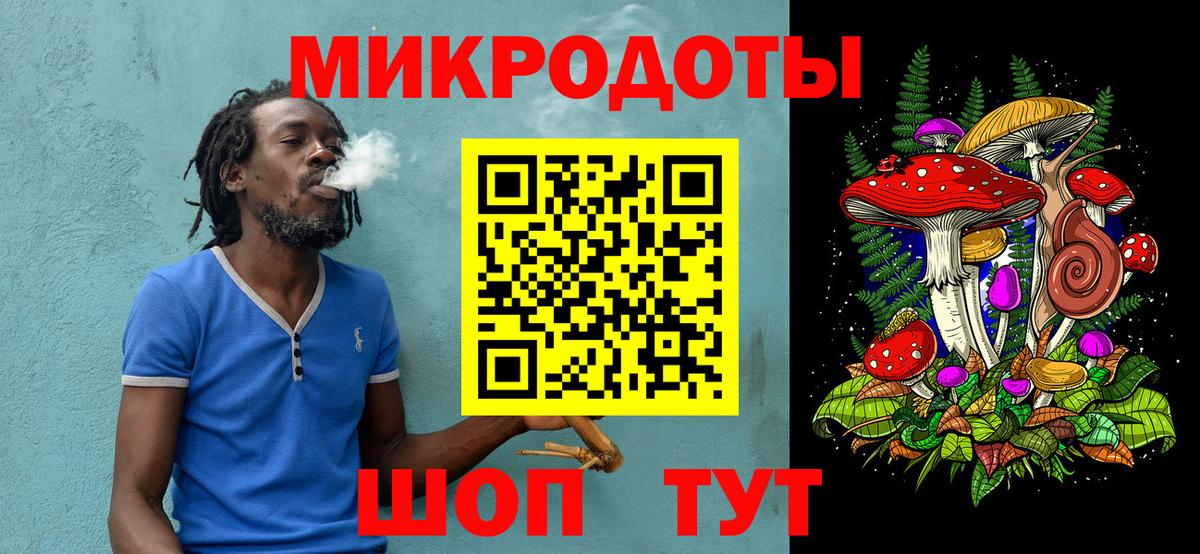 Псилоцибиновые грибы Psilocybine cubensis Новосибирск