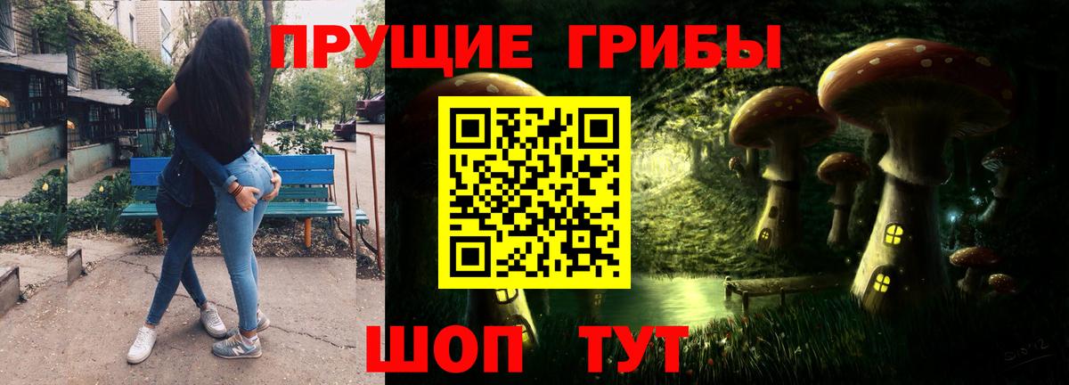Псилоцибиновые грибы GOLDEN TEACHER  Псилоцибиновые грибы MAGIC MUSHROOMS  Вход с VPN  Новосибирск 
